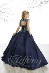 13502 Navy back