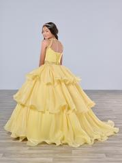 13787 Yellow back