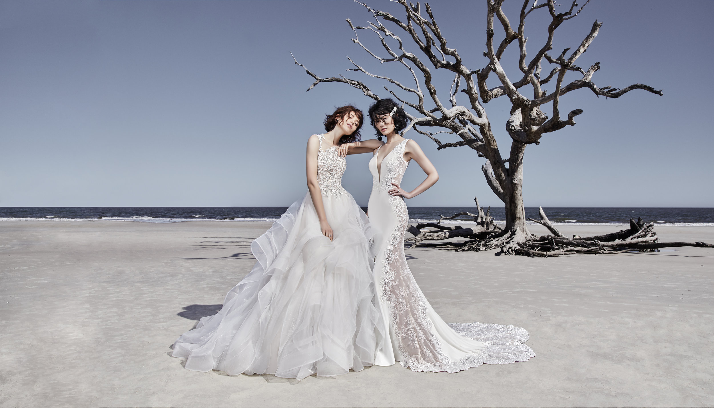 Alexandra s Boutique Largest Wedding Dress  Collection in 