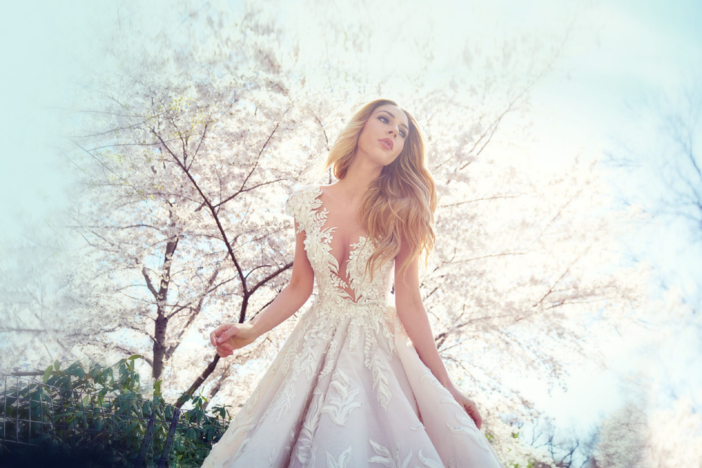 Alexandra s Boutique Largest Wedding Dress  Collection in 