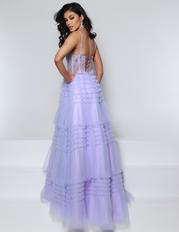 25697 Lilac back