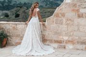 A1255WLS Desert/Champagne/Ivory/Nude back