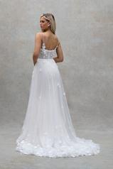 E504 Ivory back