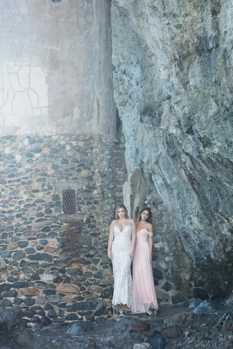 Allure Bridesmaids 1567