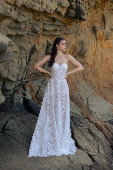 Wilderly Collection of bridal gowns now in stock! F347