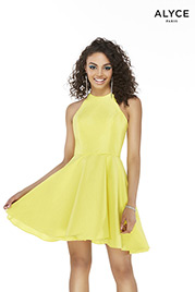 3021 Bright Yellow front