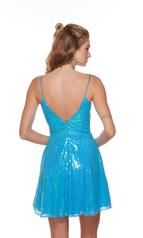 3124 Turquoise back