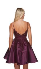 3164 Black Plum back