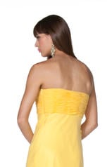 35439 Yellow back