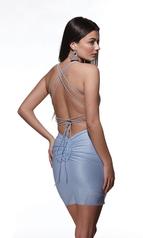 4855 Light Periwinkle back