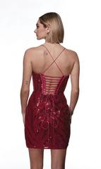 4890 Cerise back