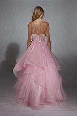 61731 Pink back