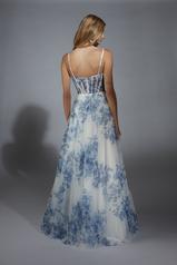 61752 Blue/White back