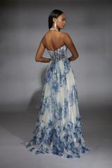 61757 Blue/White back