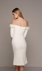 70003 Ivory back