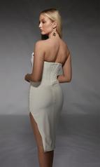 70058 Ivory back