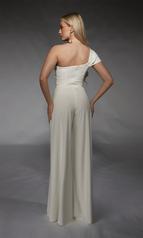 70066 Ivory back