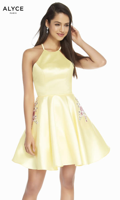 Alyce Paris Homecoming 3887 2020 Prom Dresses, Pageant, Homecoming and ...