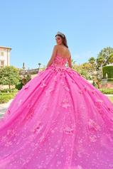 54218 Fuchsia/Pink back