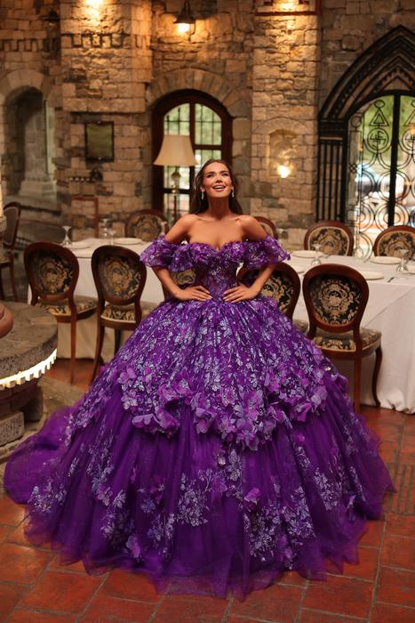 Quinceanera Sweet 15 Dresses