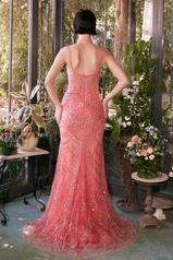 A1363 Coral back