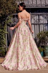 A1466 Pink back