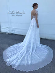 18129 Ivory With Light Nude Illusion back