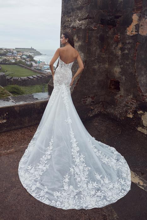 Calla Blanche Bridal 123104