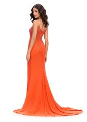 11616 Orange back