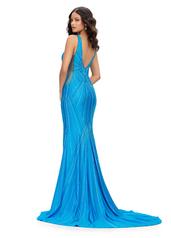 11693 Turquoise back