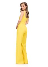 11760 Yellow back