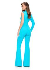 11764 Turquoise back