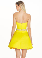 4064 Yellow back