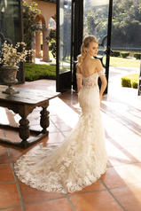 2376 Champagne/Nude/Ivory/Silver back
