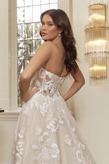 2559 Champagne/Nude/Ivory back