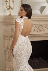 2564 Ivory/Nude/Ivory back