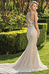 2341 Light Nude/Champagne/Ivory/Champagne/Silver back