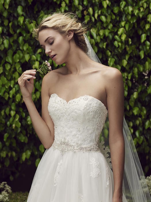 Cherry Blossom - Casablanca Bridal  2229