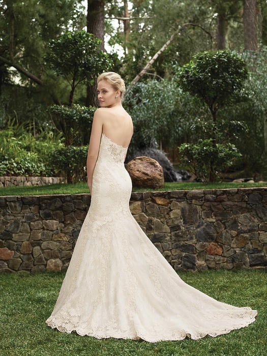 Chrysanthemum - Casablanca Bridal  2262