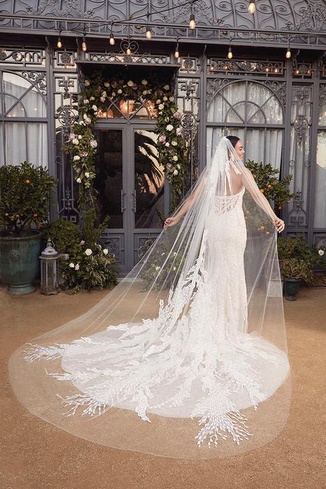 Casablanca Bridal 2484