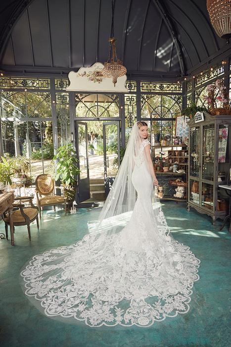 Casablanca Bridal 2485