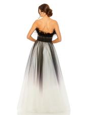 20557 Ombre Black back