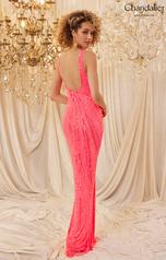 30091 Coral back