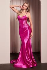 CC2397 Fuchsia front