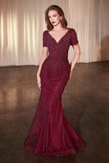 CC4019 Burgundy front