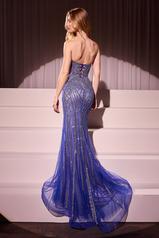 CC6018 Royal back