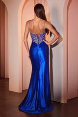 CC8868 Royal back