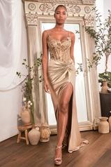 CD0176 Champagne Gold front