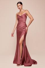 CD791 Sienna Rose front