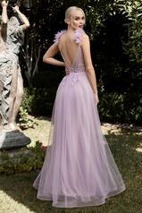 CD970 Lilac back